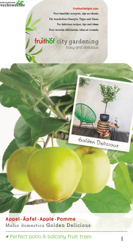  Malus Dom. Golden Del. Patio Vp5