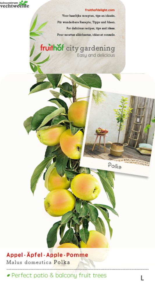  Malus Dom. Polka Zuilvorm Vp5