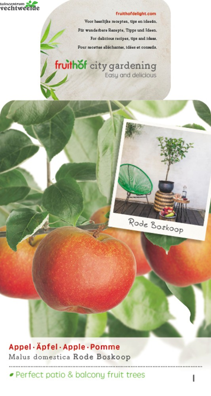  Malus Dom. Rode Boskoop Patio Vp5