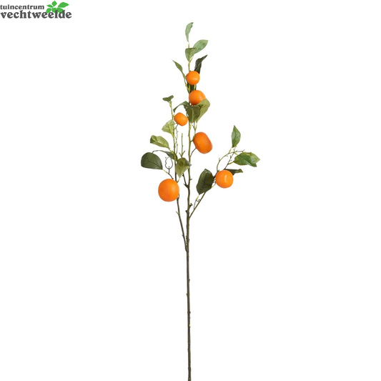  Mandarijntak L104cm Oranje