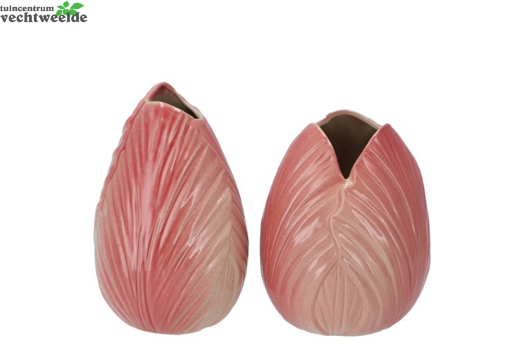  MENTON TULIP VASE DARK PINK 12X12X17CM ASS P/1