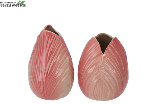  MENTON TULIP VASE DARK PINK 12X12X17CM ASS P/1