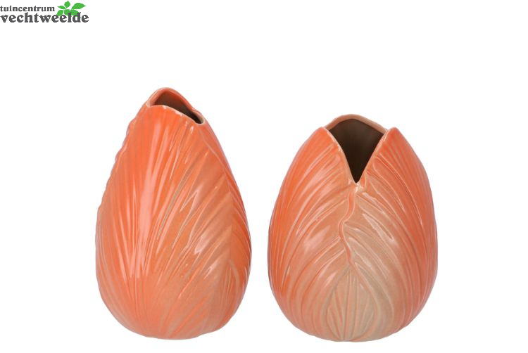  MENTON TULIP VASE ORANGE 12X12X17CM ASS P/1