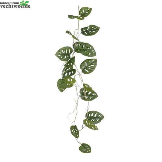  Monstera Grlnd L115b34h10cm Groen (Zijde-plant)