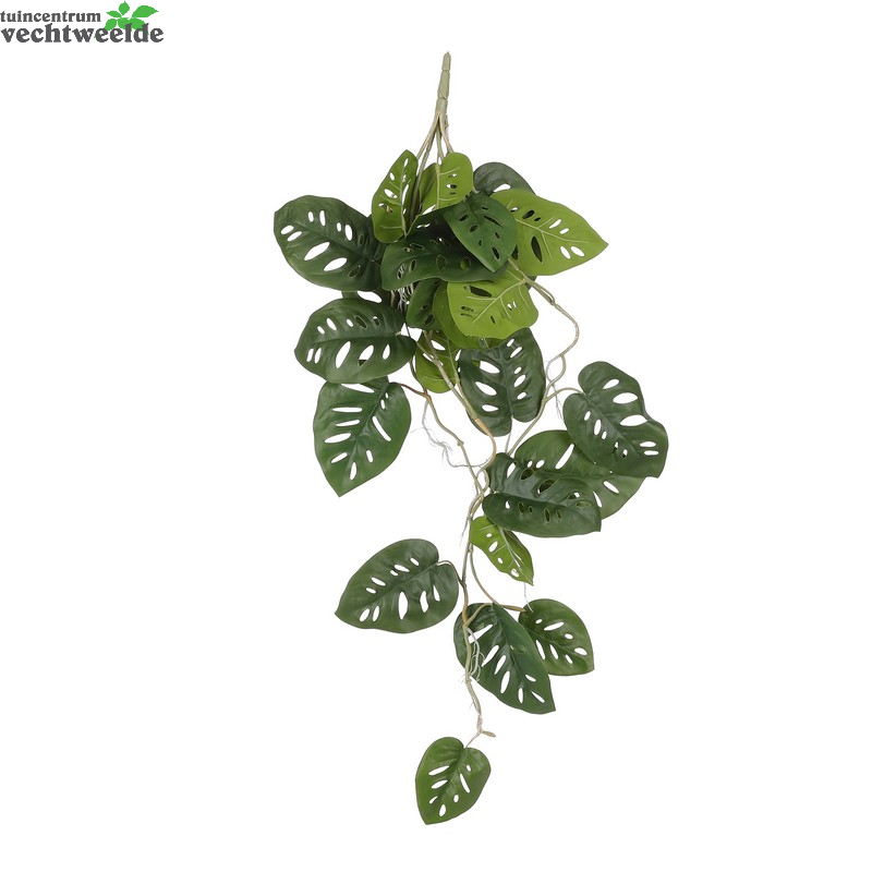  Monstera Hang L80cm Groen