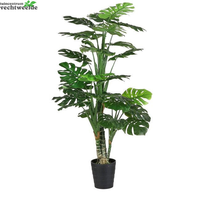  Monstera In Pot D80h160cm Groen (Zijde-plant)