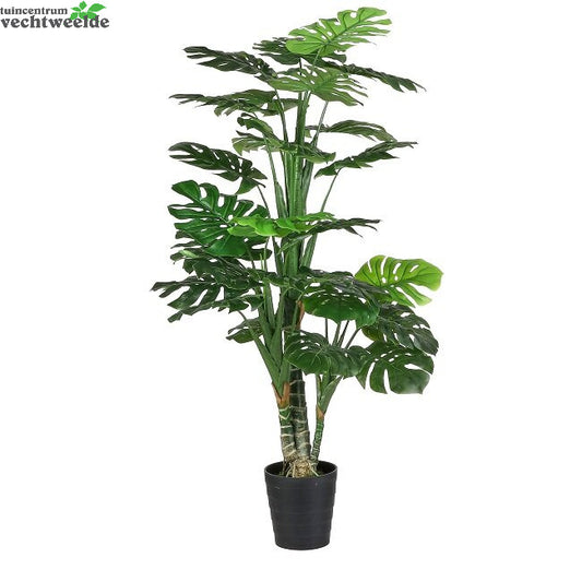  Monstera In Pot D80h160cm Groen (Zijde-plant)