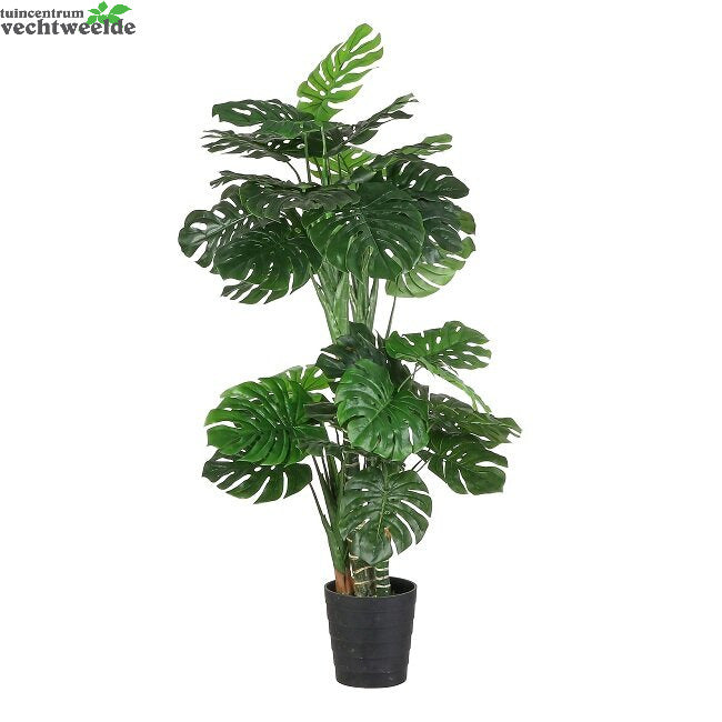  Monstera In Pot D80h195cm Groen (Zijde-plant)