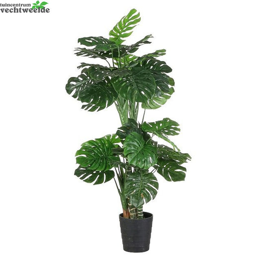  Monstera In Pot D80h195cm Groen (Zijde-plant)
