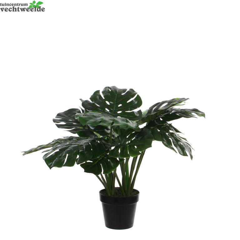  Monstera In Pot D80h60cm Groen (Zijde-plant)
