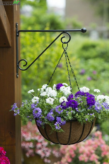 Nature Muurhaak Knop Zwart H31b39cm