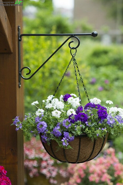 Nature Muurhaak Knop Zwart H31b39cm