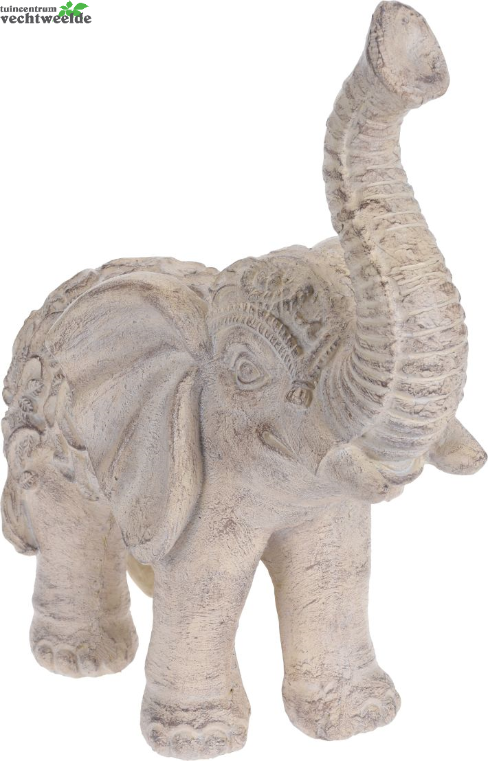  OLIFANT MGO 430X225X510MM