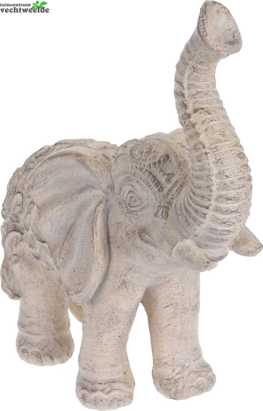  OLIFANT MGO 430X225X510MM