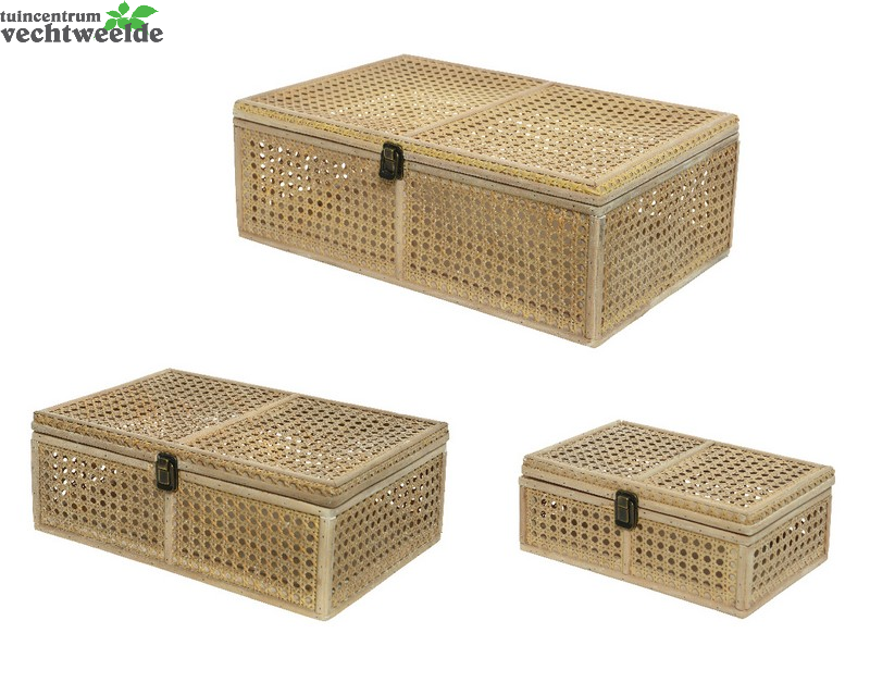 Decoris Opberger Rotan Banden L25b37h13cm