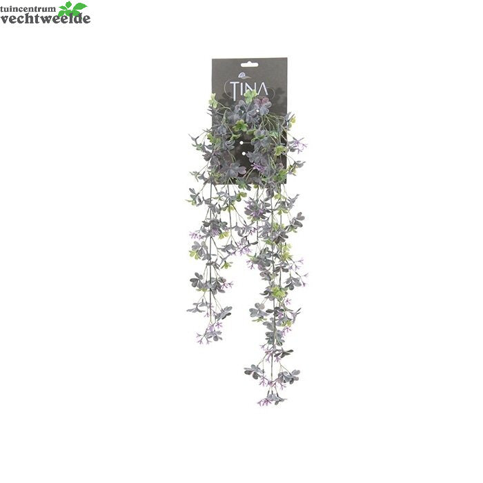  Oxalis Hanger L75cm Paars Hanger (Zijde-plant)