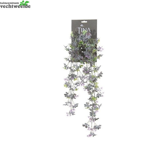  Oxalis Hanger L75cm Paars Hanger (Zijde-plant)