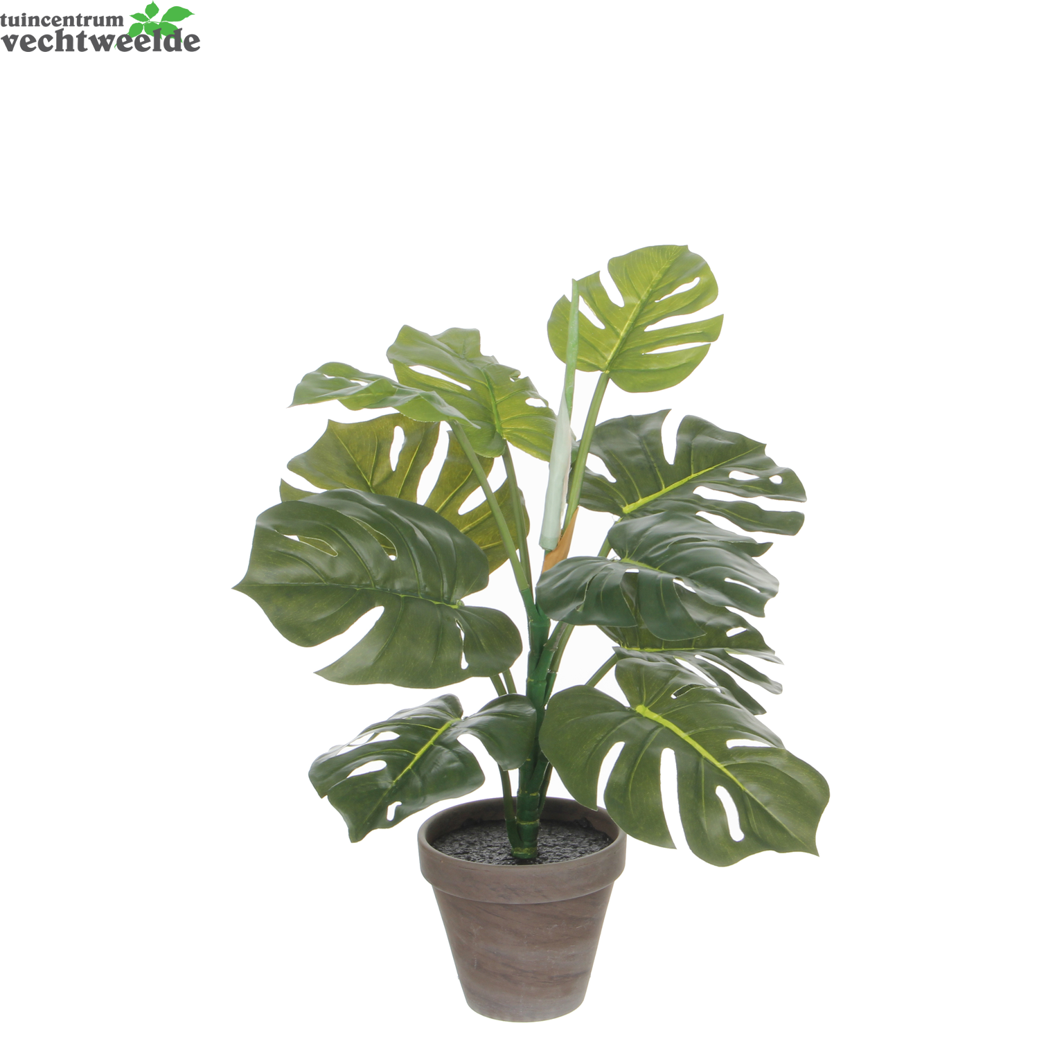  Philo In Pot D39h48cm Groen (Zijde-plant)