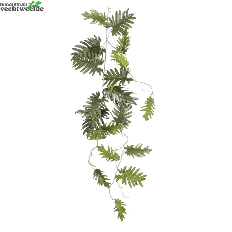  Philodendrn Selloum L115b37h9cm Groen (Zijde-plant)