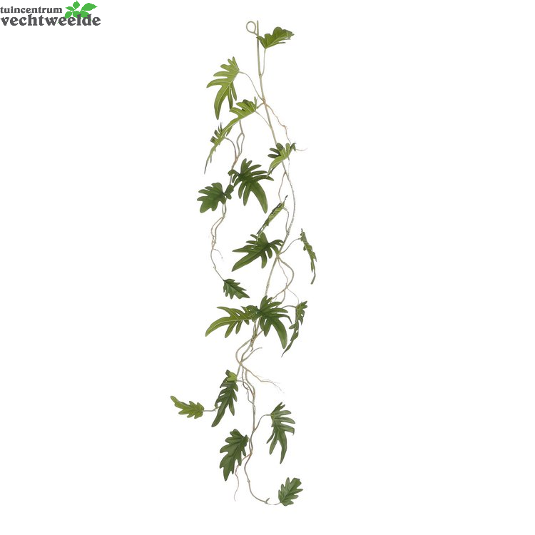  Philodendron Grlnd L115b25h10cm Groen (Zijde-plant)