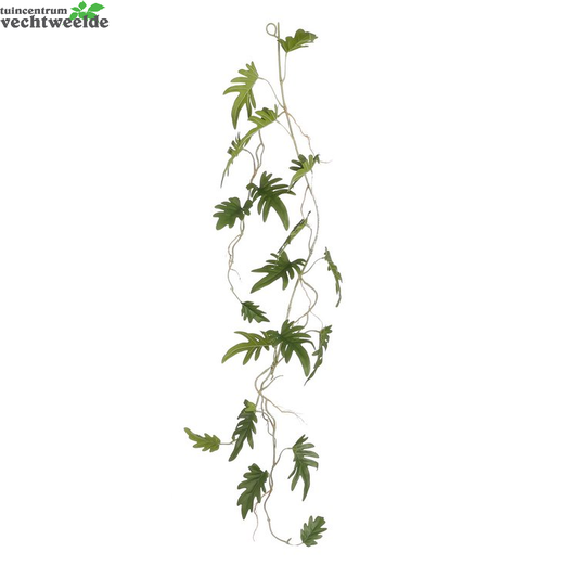  Philodendron Grlnd L115b25h10cm Groen (Zijde-plant)
