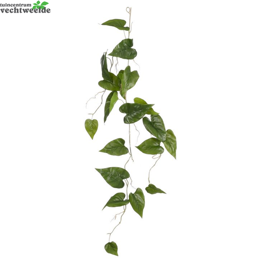  Philodendron Grlnd L115b37h10cm Groen (Zijde-plant)