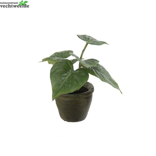  Philodendron In Pot H25cm Groen (Zijde-plant)