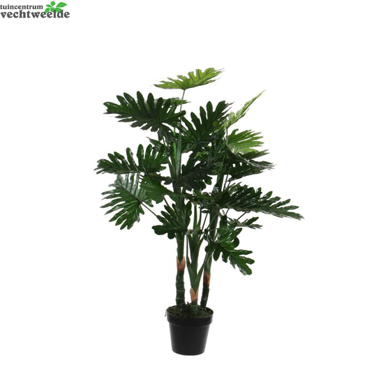  Philodendron In Pot D70h100cm Groen (Zijde-plant)