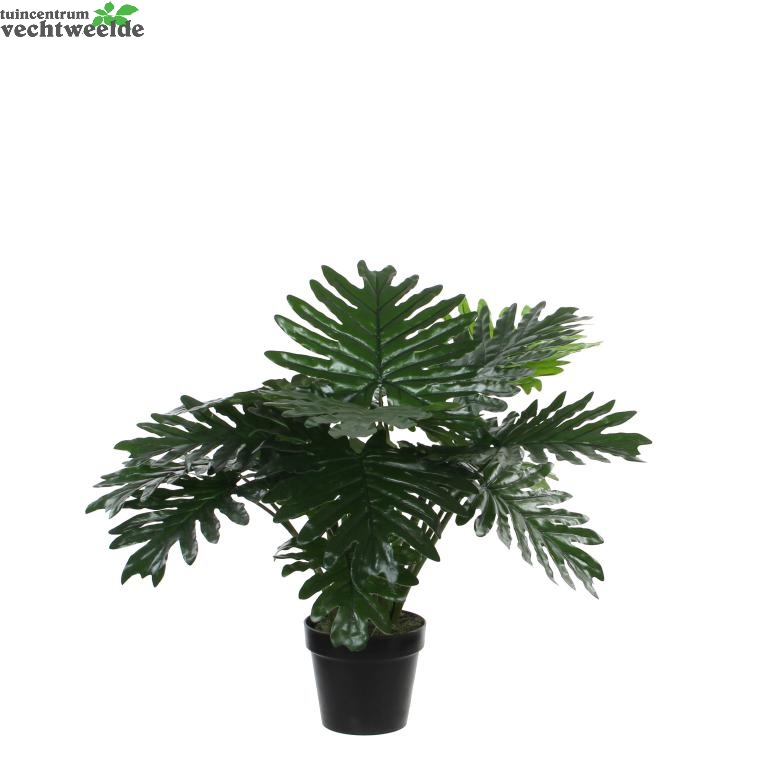  Philodendron In Pot D80h60cm Groen (Zijde-plant)