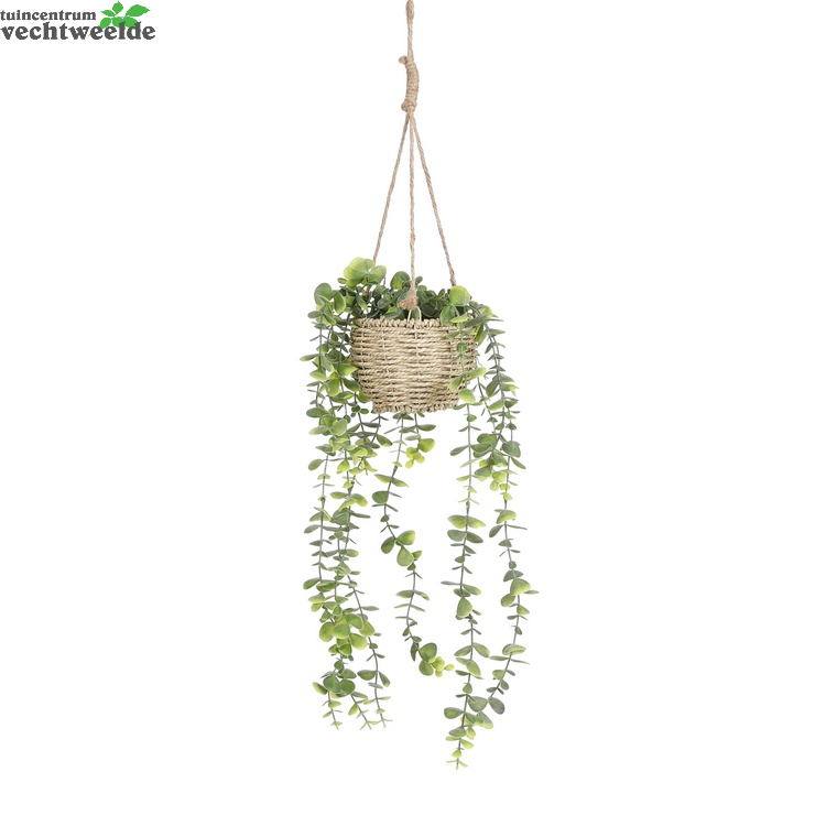  Pilea Hang D12h75cm Groen (Zijde-plant)