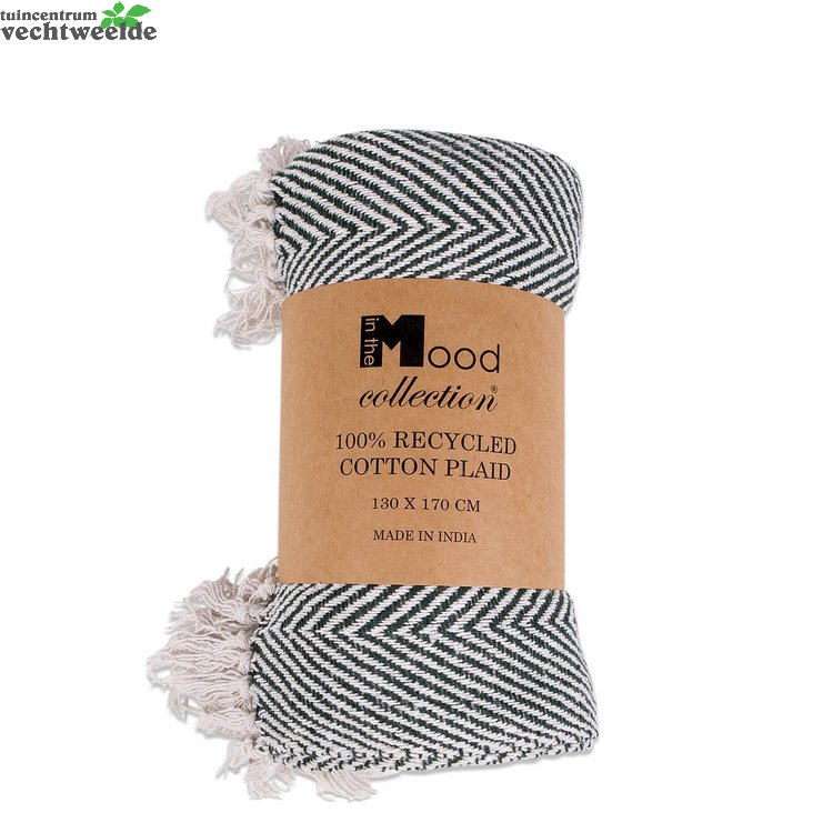 Mood Plaid Saxa Bio L130b170cm Basilicum