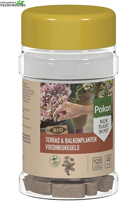  Pokon Bio Terras & Balkon Planten Voedingskegels 40 Stuks