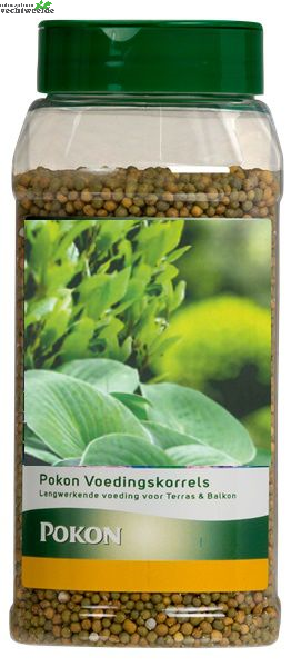  Pokon Groene Planten Langwerkende VoedingsKorrels 800 Gram