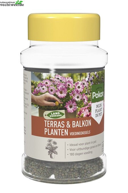  Pokon Terras & Balkon Planten Langwerkende Voedingskegels 40 Stuks