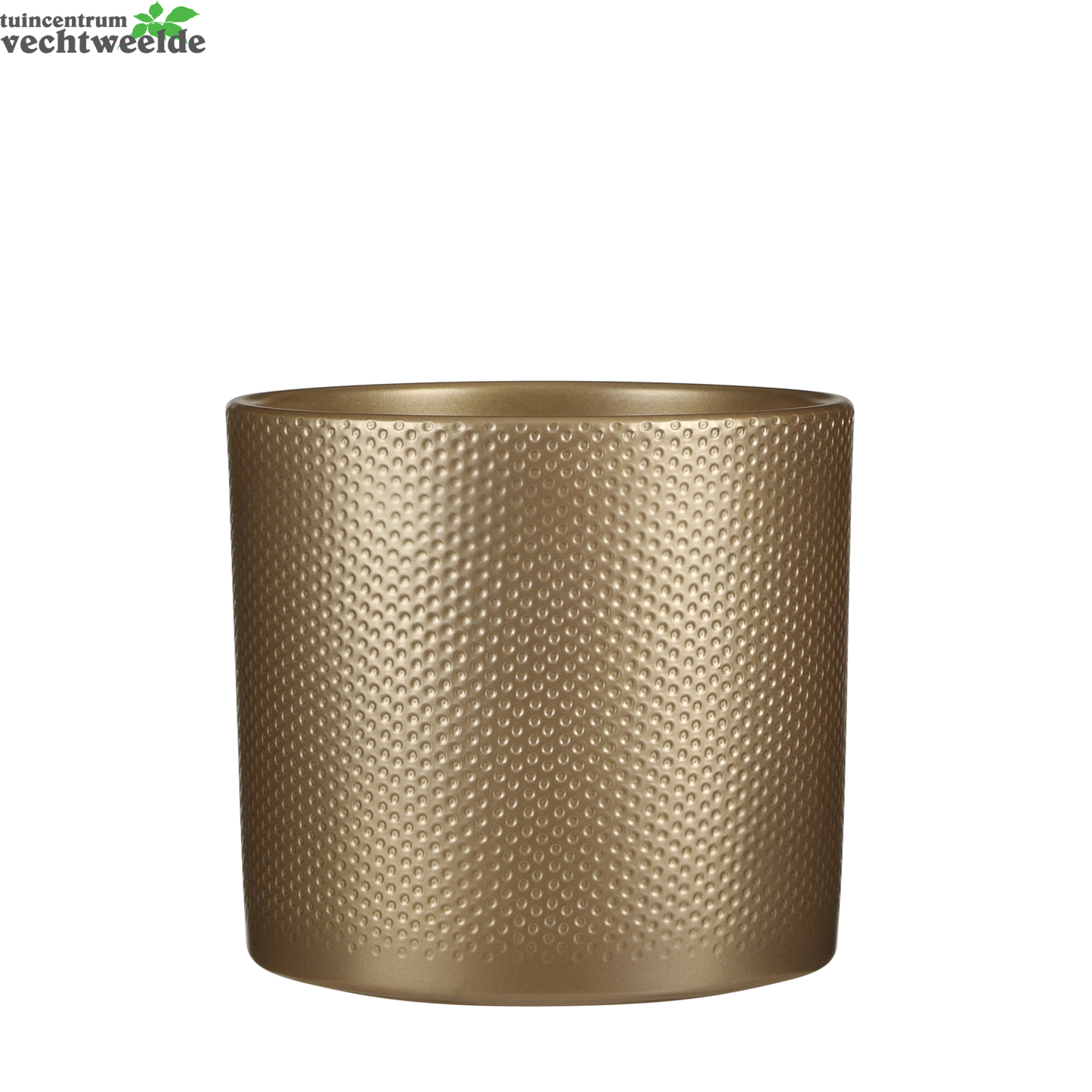  Pot Era Relief D23h21.5cm Goud - Mica