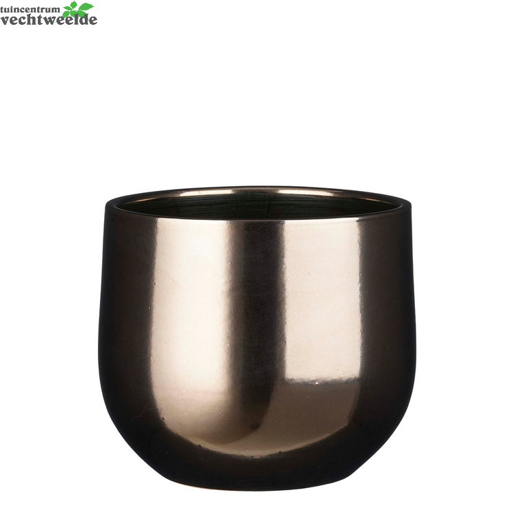  Pot Pablo D25h20cm Brons