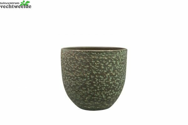  Pot Rinca D21h19cm Shiny Groen