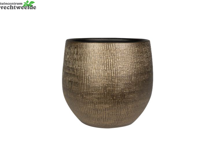  Pot Ryan D31h28cm Shiny Goud