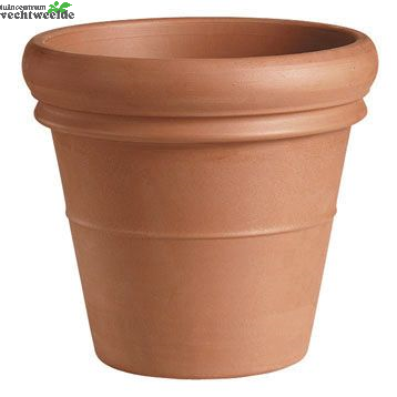  Pot Vaso Bordo D63.1 - H53.9 Cm