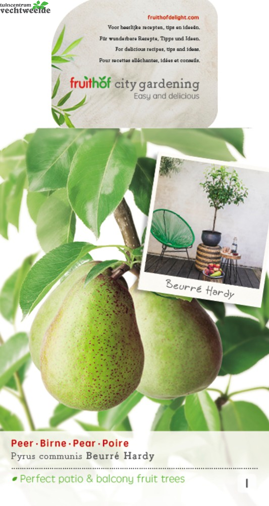  Pyrus C. 'Beurré Hardy'