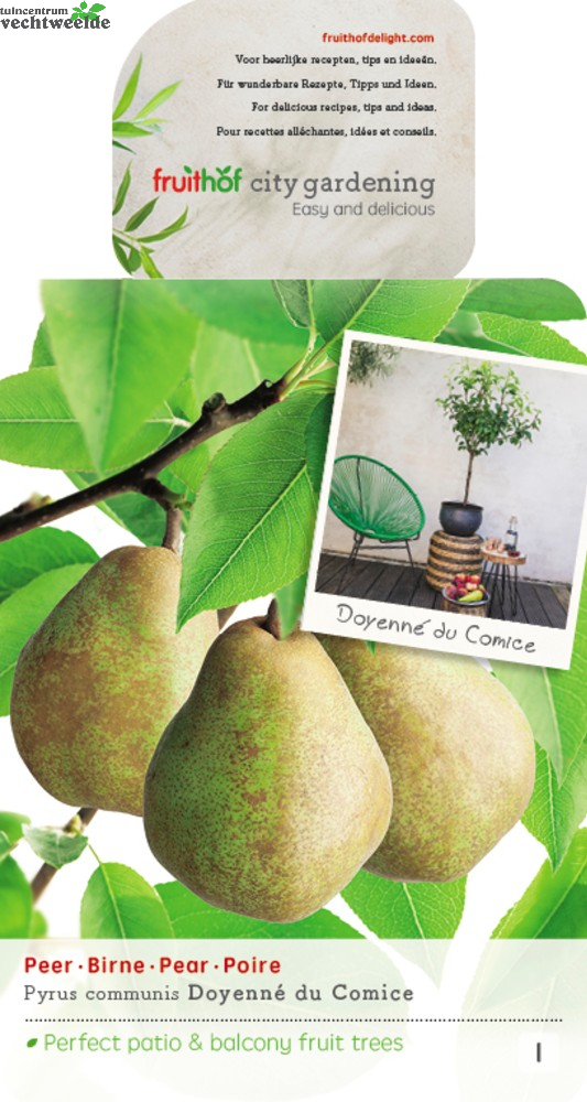  Pyrus C. 'Doyenné Du Comice'