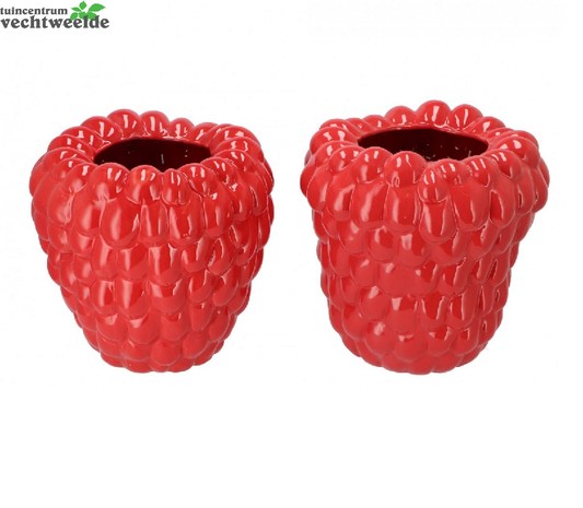  Raspberry Vase Old Fuchsia 30x30cm Per Stuk