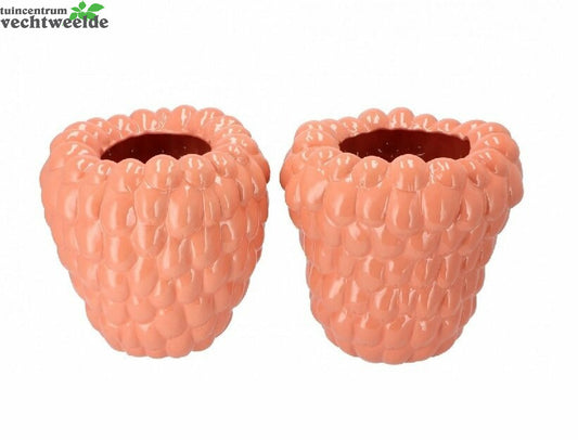  Raspberry Vase Old Pink 30x30cm Per Stuk