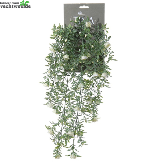  Roos Hanger L50cm Groen/creme Heade (Zijde-plant)