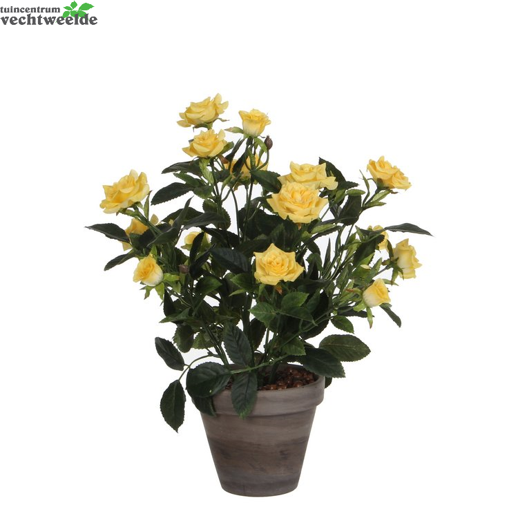  Rozenstruik In Pot D25h33cm Geel (Zijde-plant)