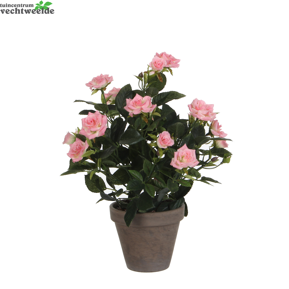  Rozenstruik In Pot D25h33cm Roze (Zijde-plant)