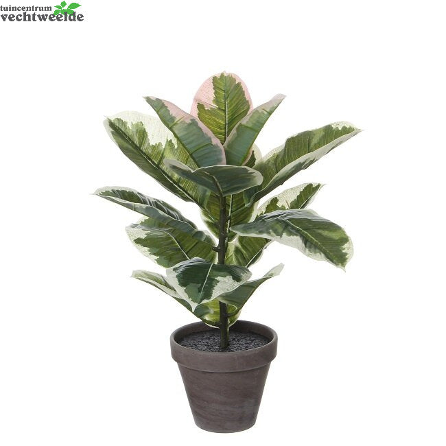  Rubberplant In Pot D34h47cm Groen (Zijde-plant)