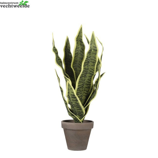  Sanserveria In Pot D16h30cm Groen (Zijde-plant)