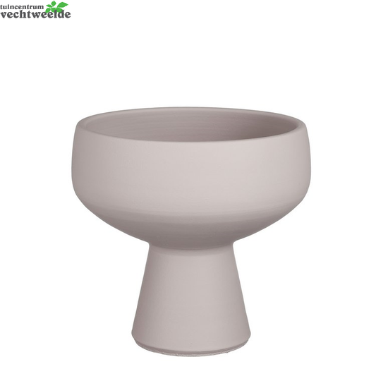  Schaal Alba D28h29cm L.paars