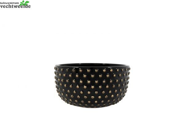  Schaal Bolino D20h11cm Shiny Zwart